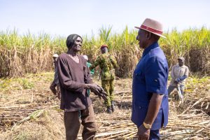 President Ruto Engages Sugarcane Farmers In Mumias, Kakamega, Announces Major Bonus Payment Development