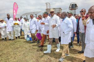 Nationwide Livestock Vaccination Launched In Laikipia