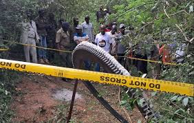 Residents Of Mukuku Village In Makueni County Suffer Health Issues After Contacting Mysterious Metallic Object