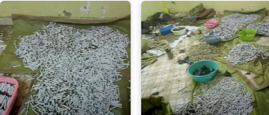 12 Drug Traffickers Arrested In Separate Police Operations In Nakuru, Wajir