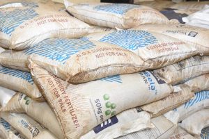 Anti-Counterfeit Authority Seizes 233 Bags Of Counterfeit Fertilizer Worth Sh 2.1 Million In Molo, Nakuru