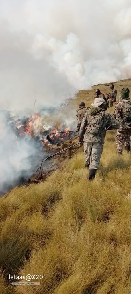 Multiple Parks Affected By Fire Amid Dry Season, KWS Says