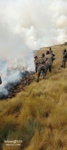 Multiple Parks Affected By Fire Amid Dry Season, KWS Says