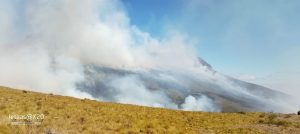 Multiple Parks Affected By Fire Amid Dry Season, KWS Says