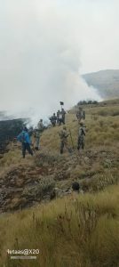 Multiple Parks Affected By Fire Amid Dry Season, KWS Says