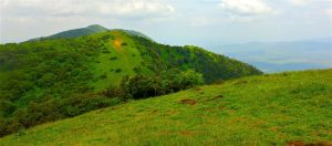 Nairobi Ngong Hills: A Scenic Escape into Nature