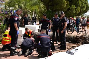 Man Seriously Injured By Falling Palm Tree At Cannes Film Festival