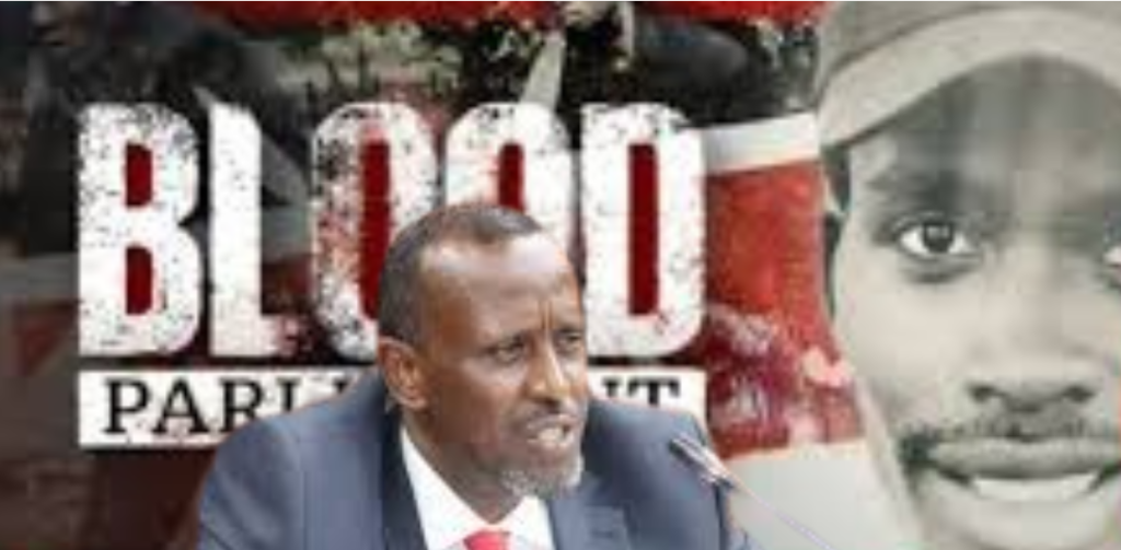 MP Bashir Abdullahi Clarifies Controversial Remarks On BBC’s ‘Blood Parliament’ Documentary