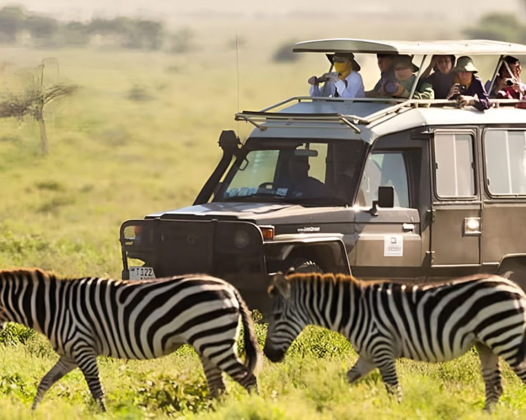 Kenya’s Tourism Sector Rebounds In 2024 With 14.7% Surge In International Arrivals