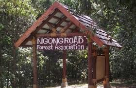 KFS Suspends Ngong Road Forest Development Amid Outcry Over Alleged Encroachment