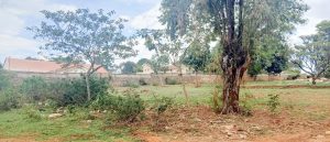 EACC Recovers Sh65 Million Grabbed Kitale Government Housing Land