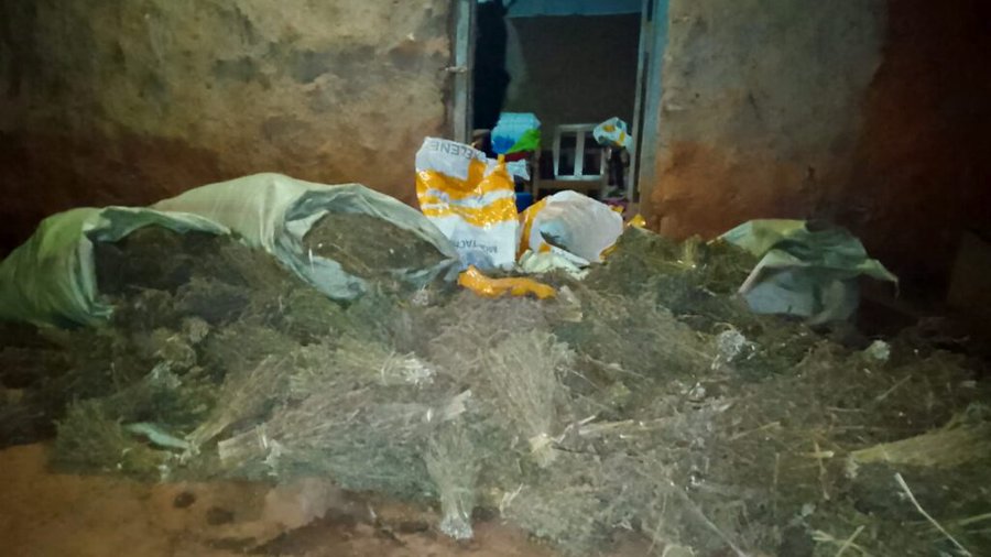 Major Drug Bust In Kitale As NACADA Leads Pre-Jukwaa La Usalama Crackdown