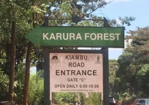Karura Forest Shifts To eCitizen Platform For All Payments