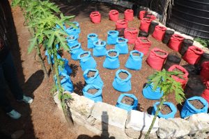 Police Uncover Clandestine Drug Lab Arrest Two In Diani, Kwale County