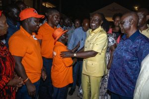 Political parties have much to learn from ODM, Ruto says