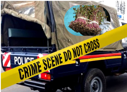 Miraa seller found murdered in Tala, Machakos County