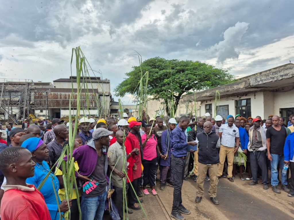 Sugar workers’ strike called off after government–union talks
