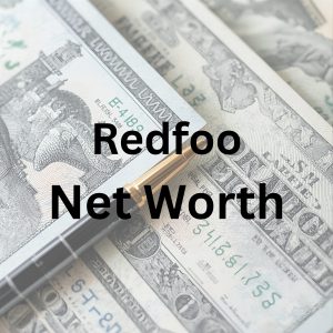 Redfoo net worth