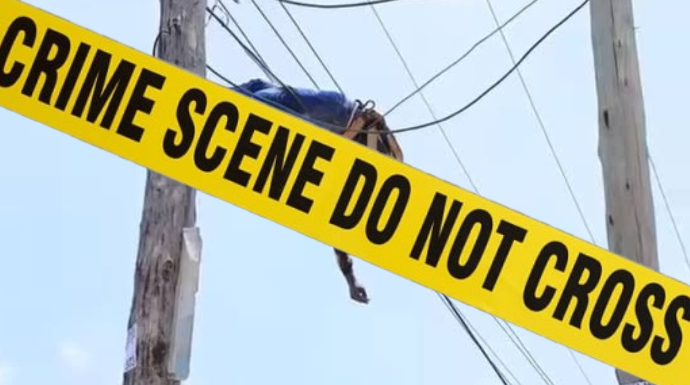 Man, 45 electrocuted after climbing power pole to rectify electric fault in Matuu, Machakos County