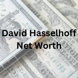 David Hasselhoff net worth