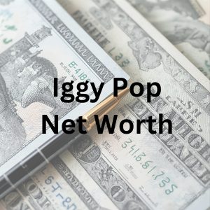 Iggy Pop net worth