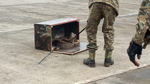 13-Foot Python seized in failed smuggling attempt at Namanga border