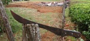 Elderly woman dies after machete attack in Kwale County