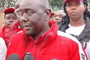 Jubilee Party Chair Vincent Kemosi Breaks Silence After Overnight Detention at Nyamira Police Station
