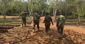 Suspected timber thief shot and injured during confrontation with Forest Rangers in Nakuru