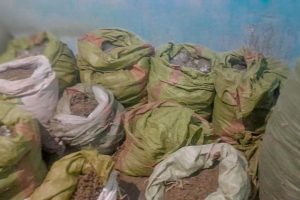 Police Seize 250kg of Cannabis, Arrest Eight Suspects in Nairobi Raid