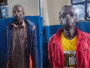 Two suspects arrested over Kikuyu robbery and sexual attack