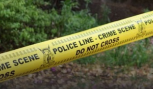 Man found dead with head injuries in Kwale bush