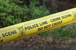 Man found dead with head injuries in Kwale bush