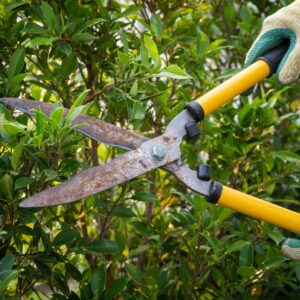 One-year-old boy dies after being accidentally hit while father pruned fence in Nandi village