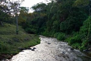 Form Four student drowns in River Ragati in Nyeri