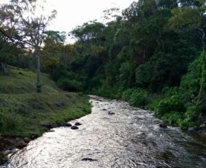 Form Four student drowns in River Ragati in Nyeri