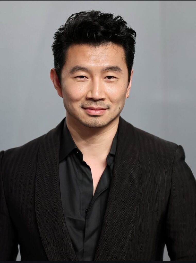 Simu Liu net worth