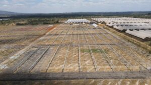 Kakuzi breaks ground for new Blueberry production orchards