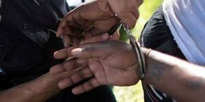 Two arrested with 58kg of wildlife carcasses in Garissa