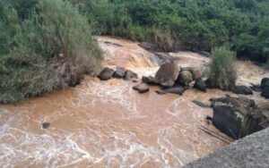 Grade 5 pupil drowns while fetching water from River Yala, Siaya County