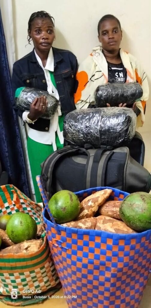 Two Women Arrested with Cannabis Hidden Under Cassava and Avocados in Busia
