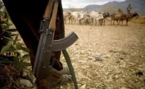One killed, another injured as suspected bandits attack Samburu herders