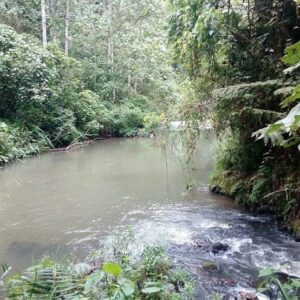 Grade Seven pupil drowns while swimming in Gatamaiyu River, Kiambu County