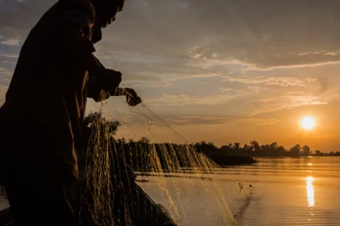 Fisherman injured after KWS ranger opens fire during Lake Victoria patrol in Siaya