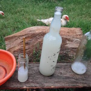 Two people killed in Kilifi palm wine joint fight, including suspected attacker
