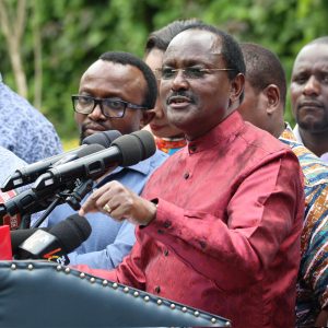 Kalonzo Hits Out At Government Over Alleged Billionaire Abduction