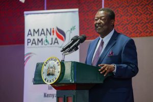 General Crime Reduced In Past Year, Mudavadi Says