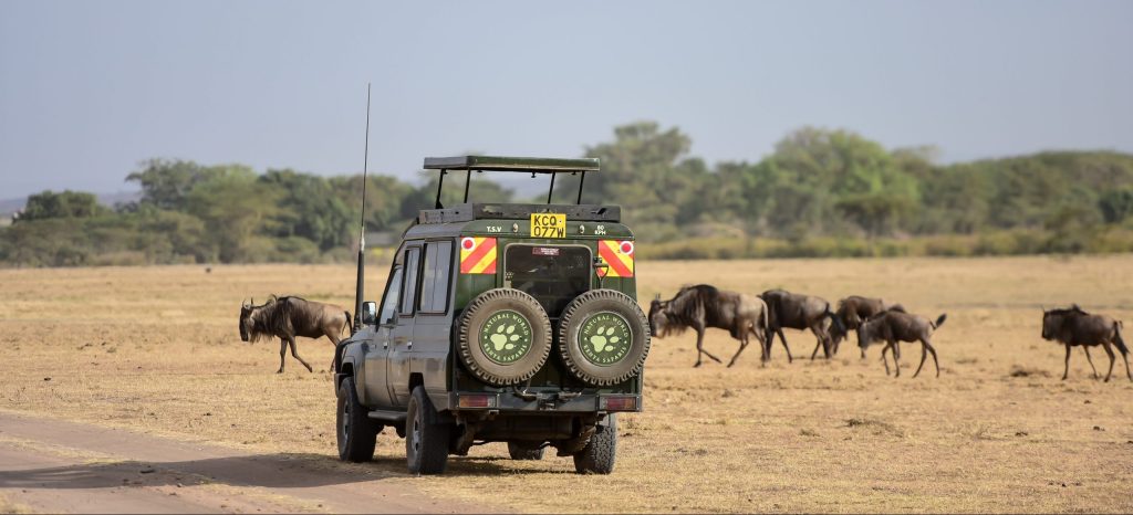 Kenya Safaris from Nairobi