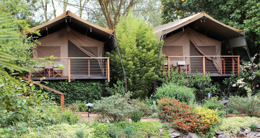 Wildebeest Camp Nairobi: A Unique Safari Escape in the City