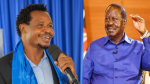 Mumias East MP Peter Salasya Slams Raila Odinga After Committee Reshuffle